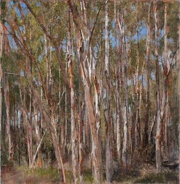 2014_Paperbarks 2_124x122_web