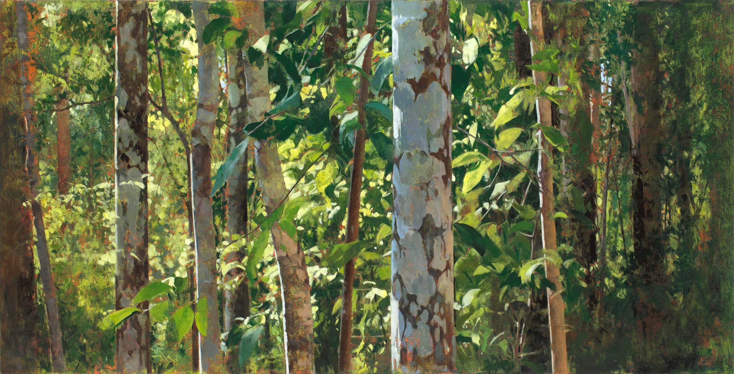 2017_Paynter Creek (Spring Afternoon)_91x180_web