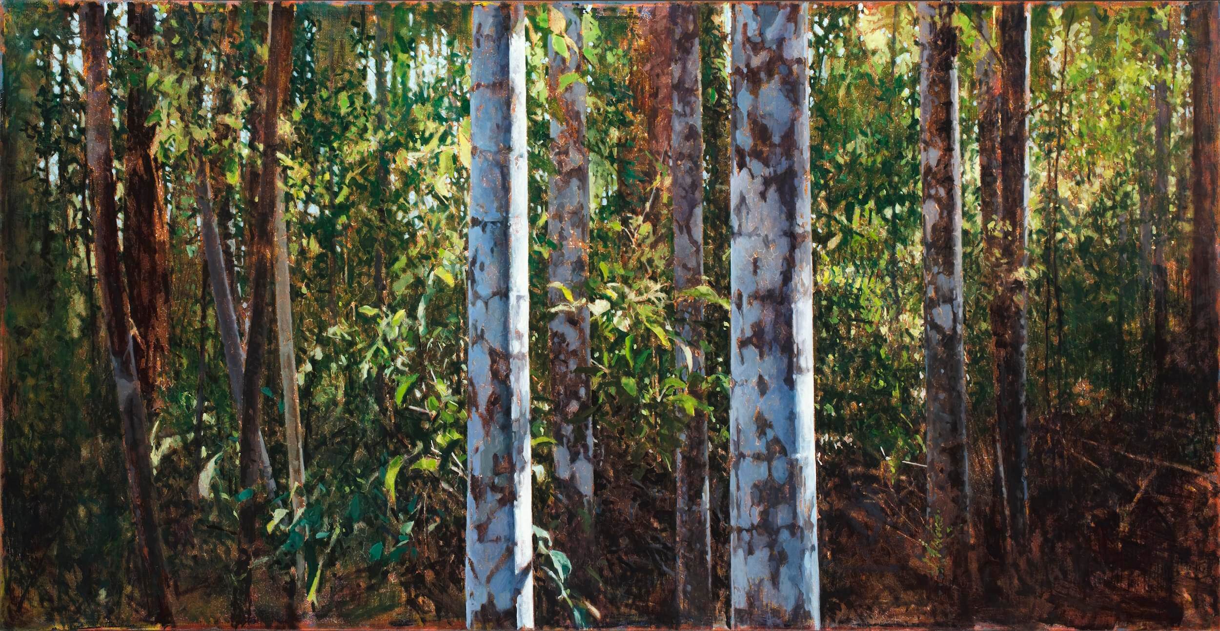 2015_Paynter Creek, Rainforest No.5_122x244_web
