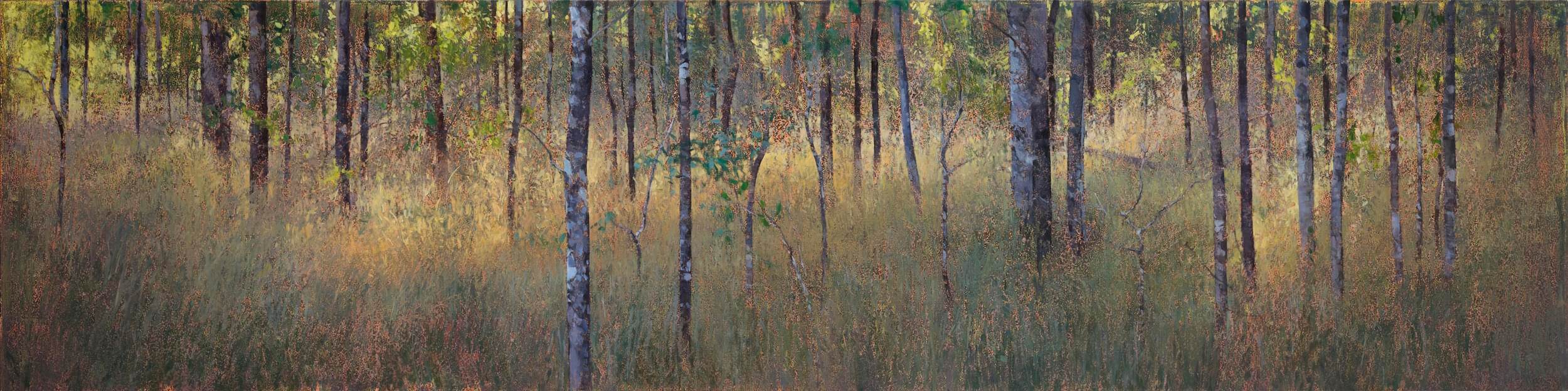 2018_Afternoon Light, Spring Creek_61x244_web