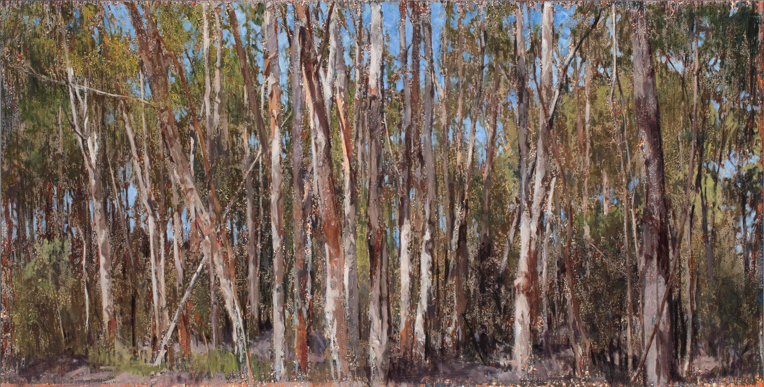 2014_Paperbarks 3_62x123_web