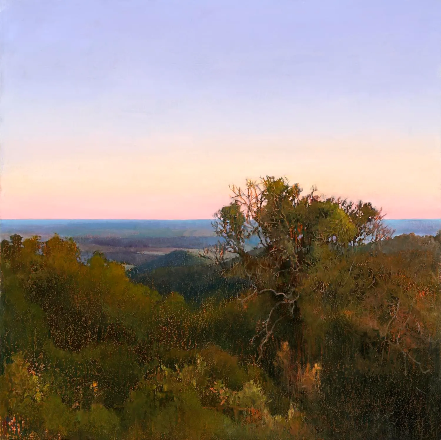 2024_Bunya Mountains Sundown_76x76_web