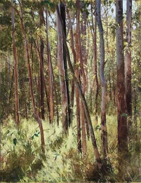 2017_Forest Edge, Summer Light_122x94_web