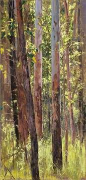 2017_Forest Edge, Summer Morning_122x58.5_web