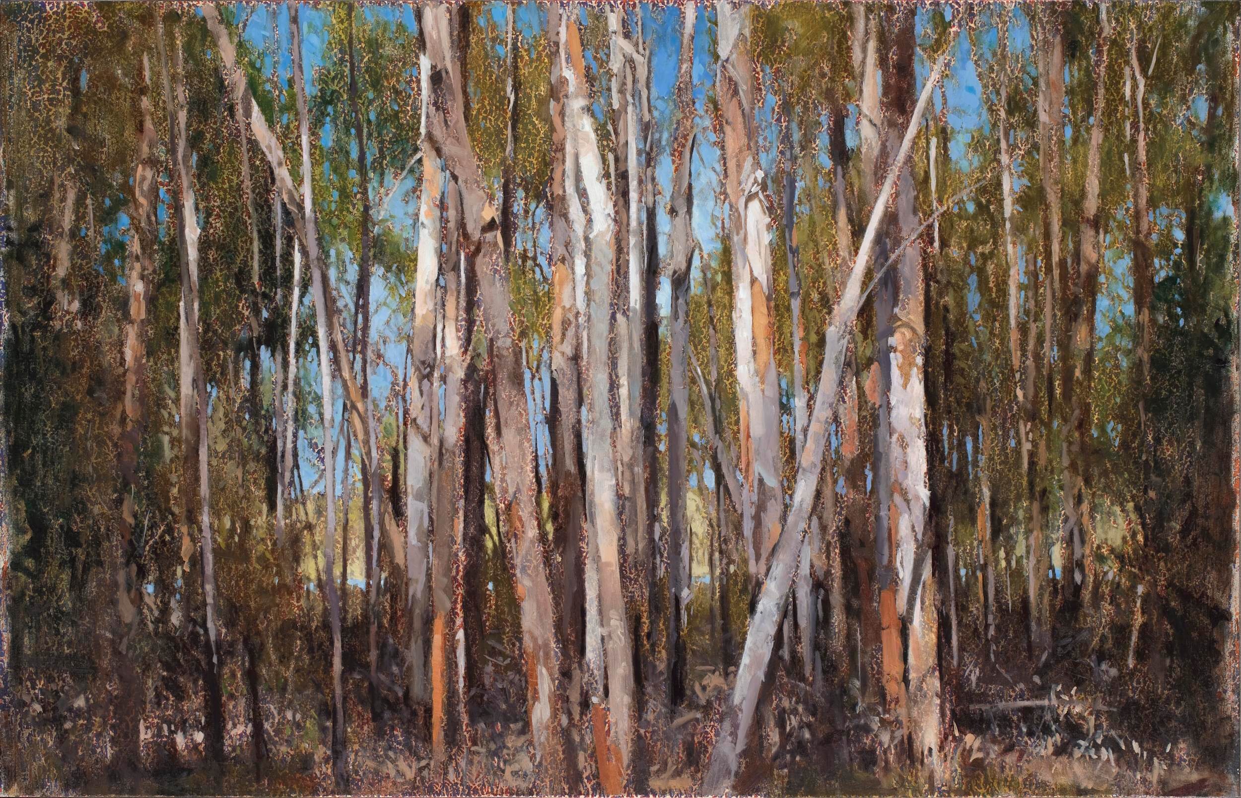 2014_Paperbarks 5_59x91.5_web