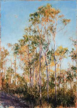 2015_Wild Horse Mountain 2_61x43_web