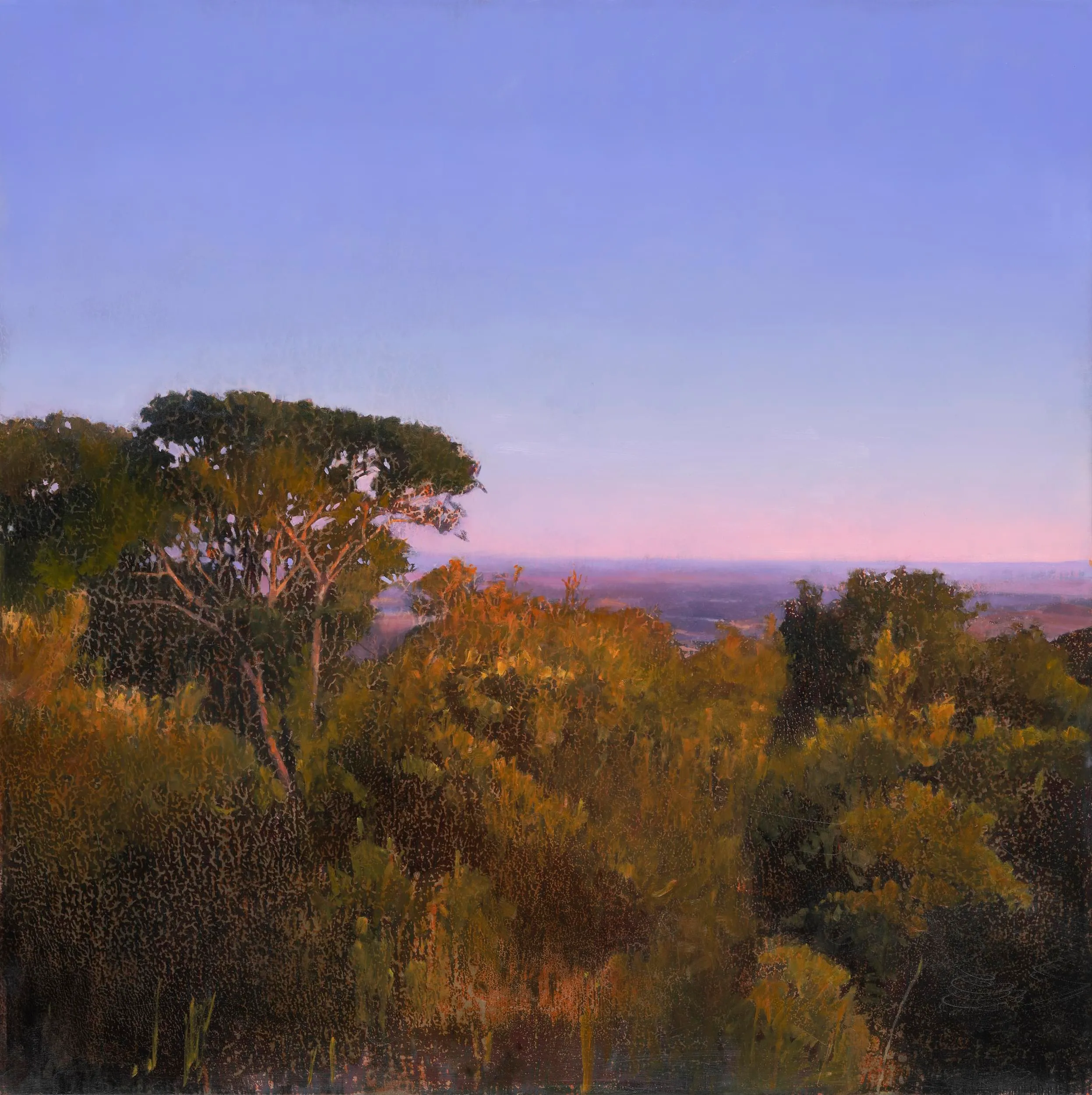 2024_Bunya Mountains Twilight_76x76_web