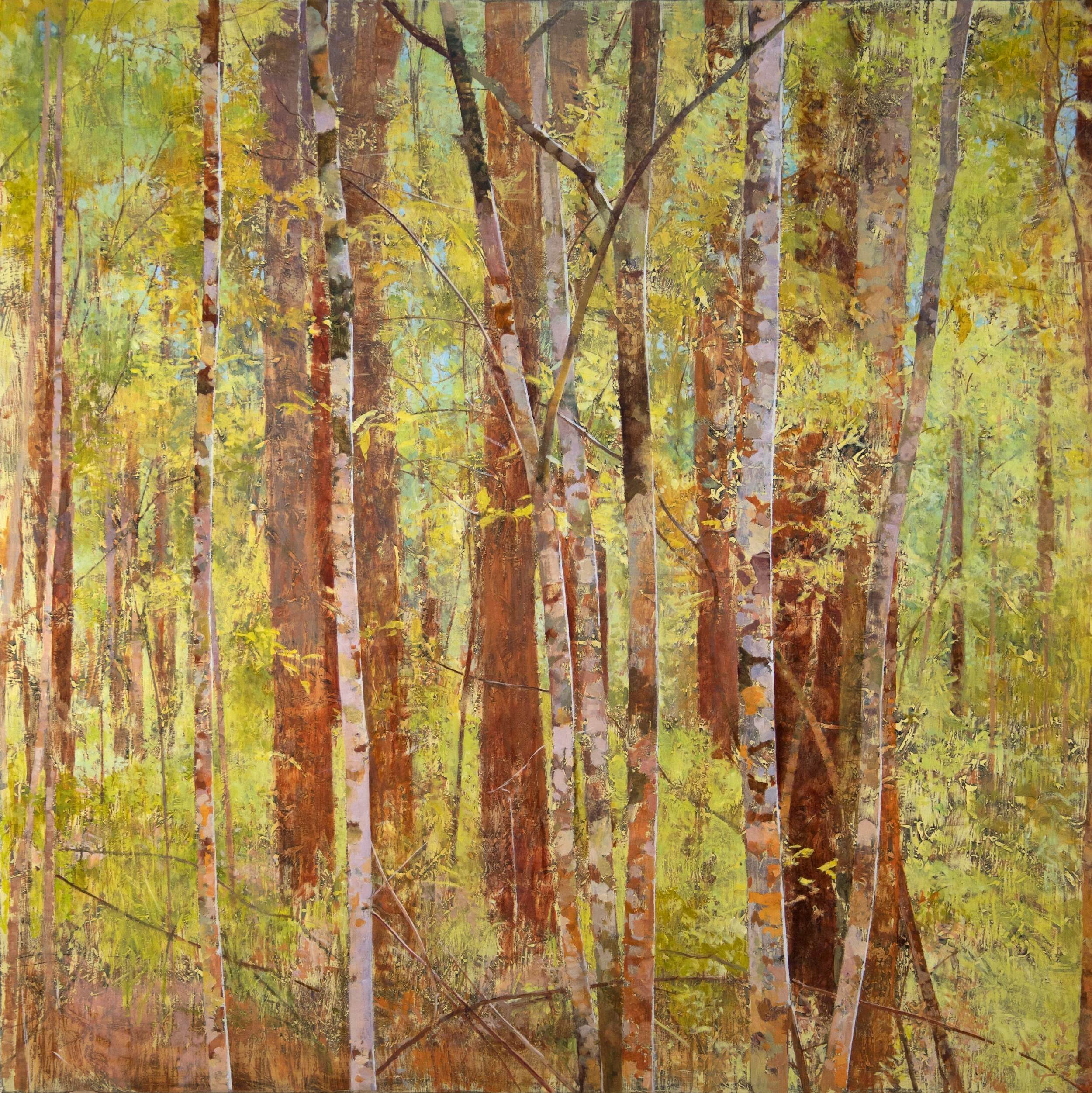 2025_Pink Ash and Saplings_153x153_web