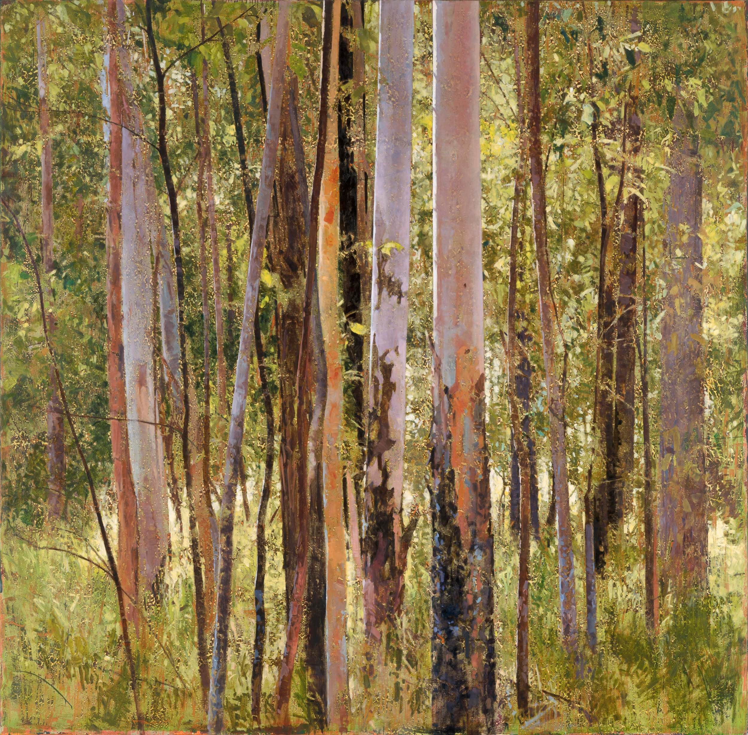 2020_Forest Edge, Early Afternoon_153x153_web