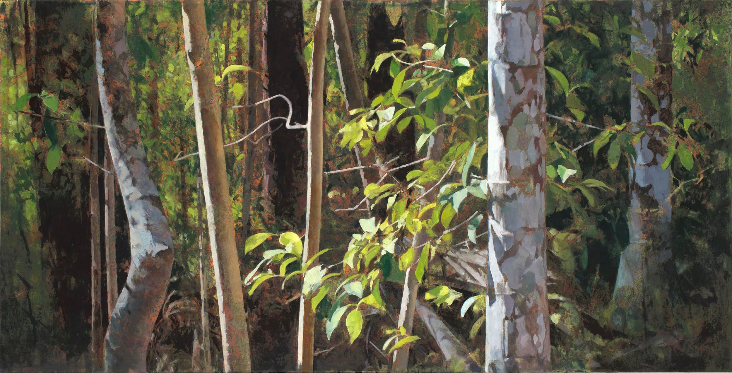 2017_Paynter Creek (Summer Afternoon)_91.5x180_web