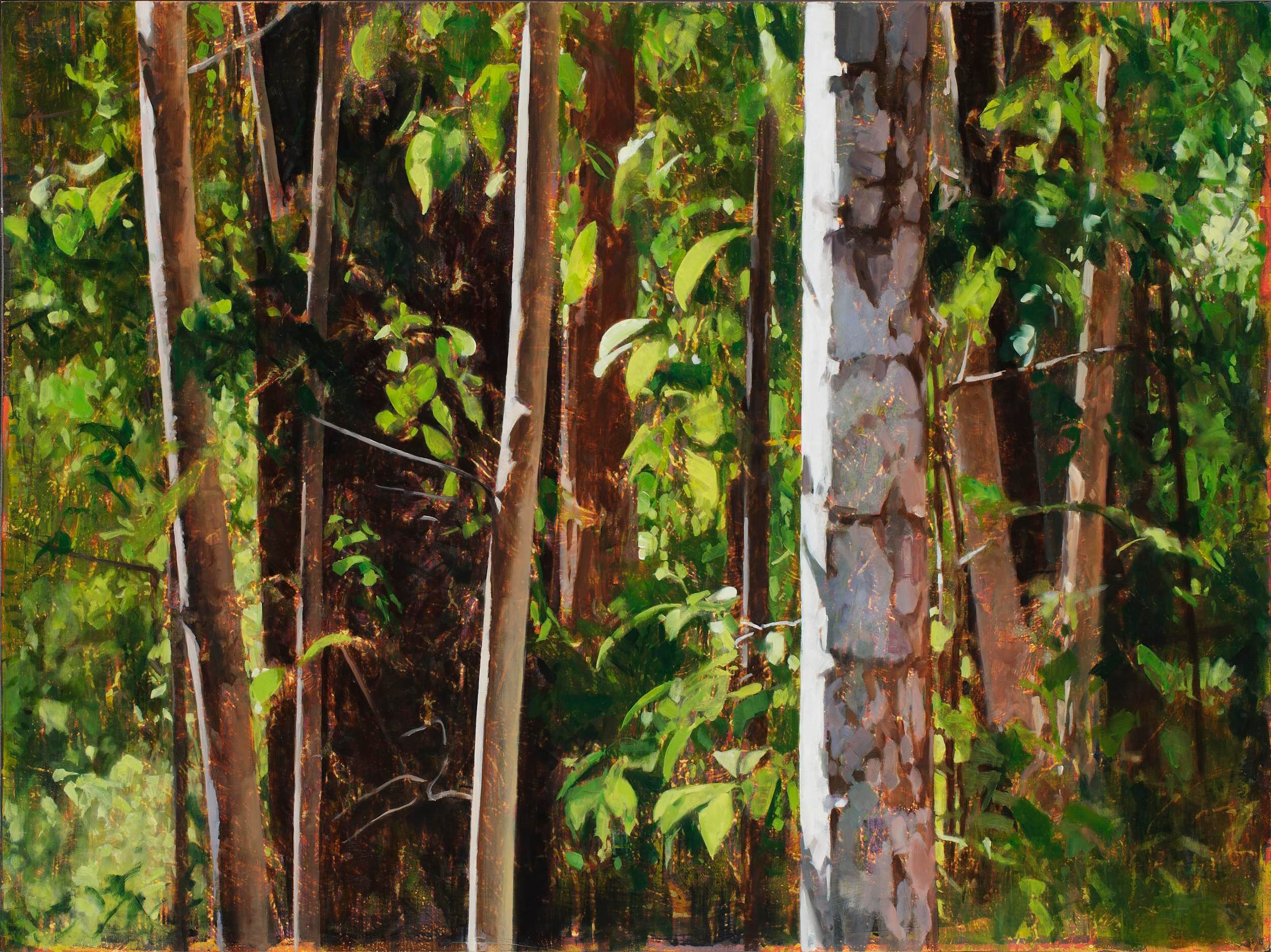 2015_Palm and Saplings, Paynter Creek_91.5x122_web