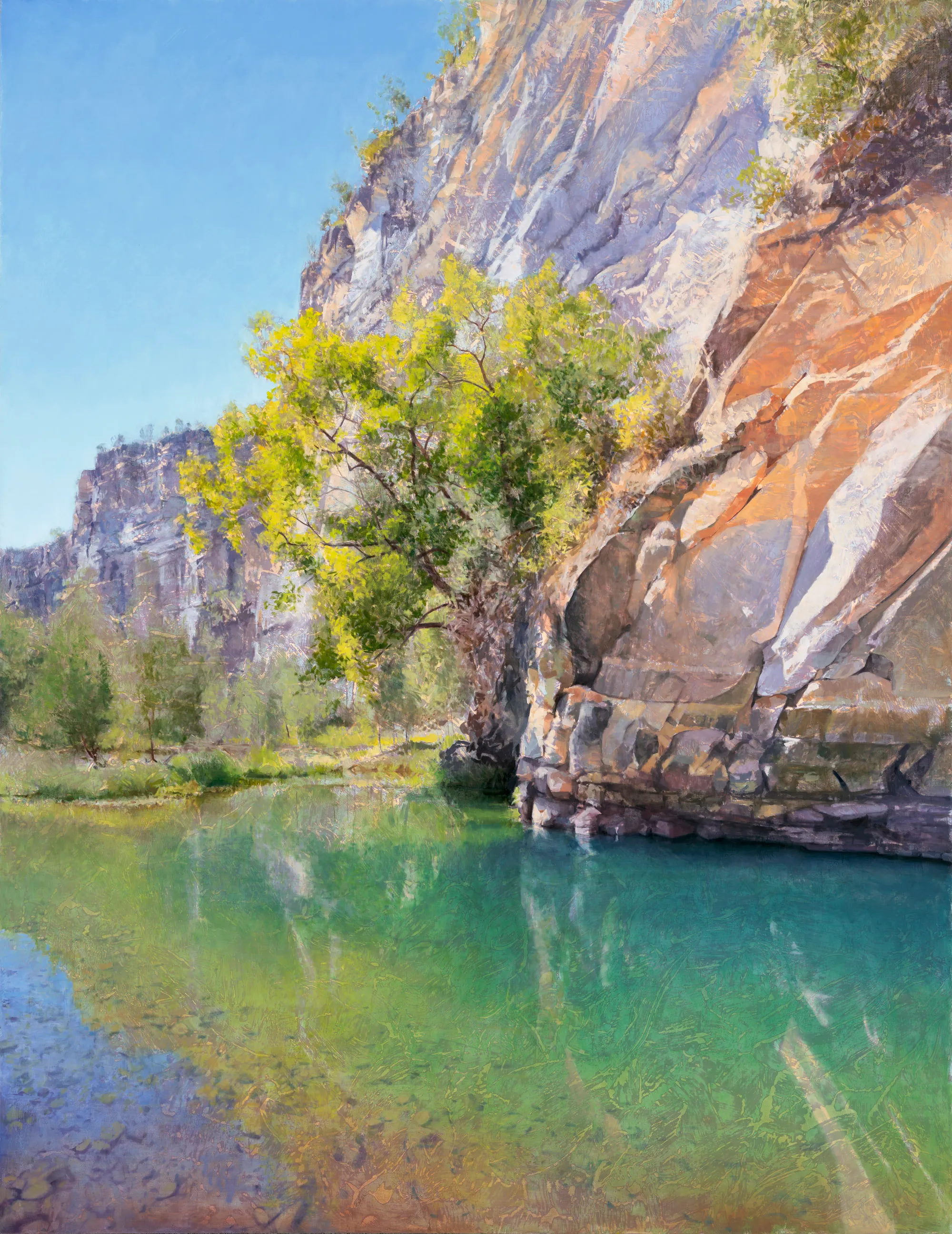 Fig and Green Pool, Carnarvon Gorge 2022 198x153