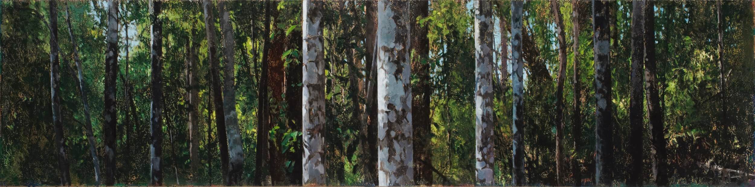 2015_Paynter Creek 3.30pm_60x242_web