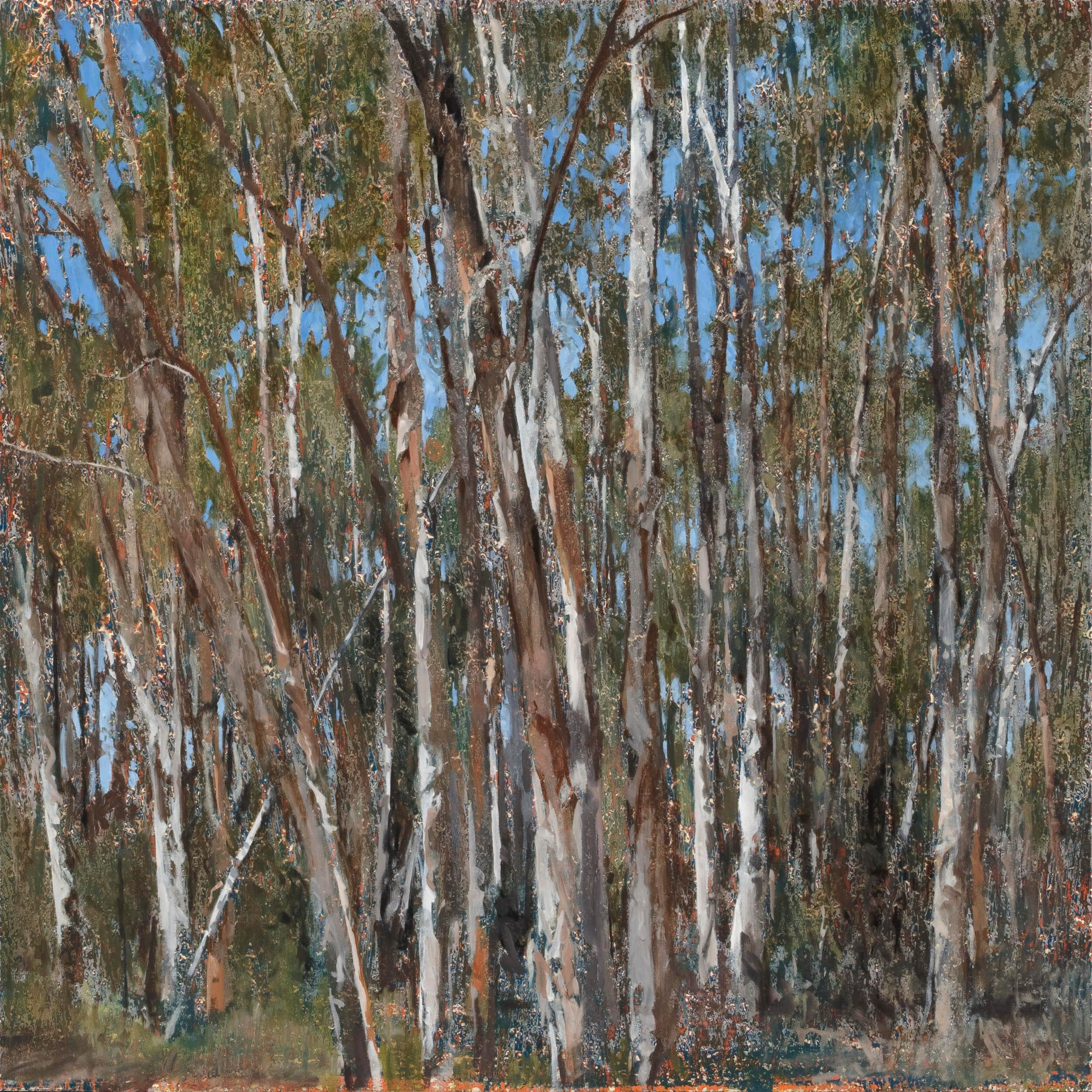 2014_Paperbarks 6_75x75_web