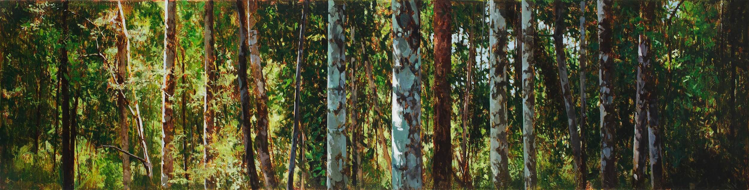 2015_Paynter Creek 2.44pm_61x244_web