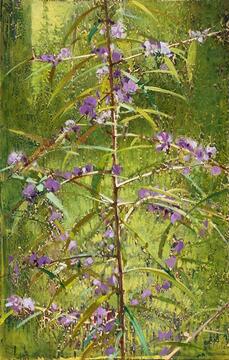 2019_Hovea at Rocky Creek_61x39_web