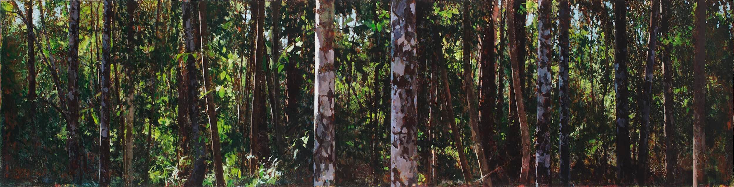 2015_Paynter Creek 3.12pm_61x244_web