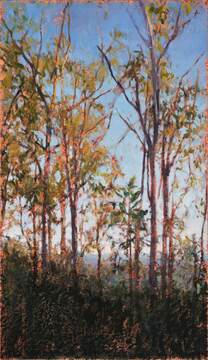 2015_Wild Horse Mountain 3_55.5x32_web