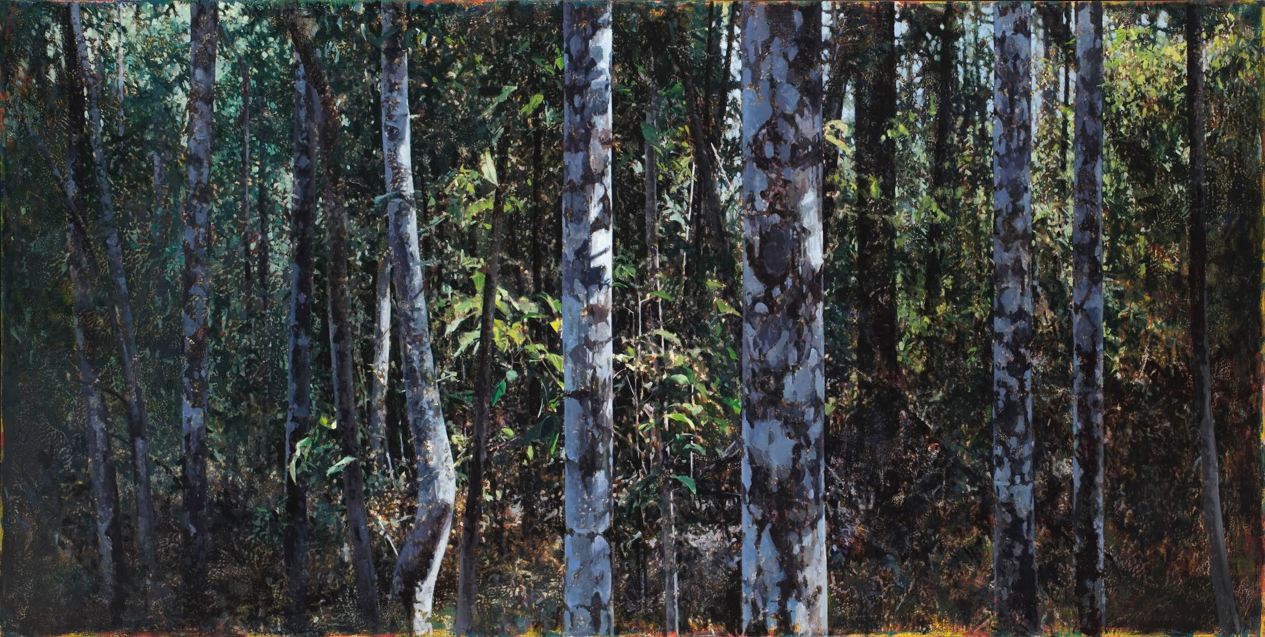 2015_Paynter Creek, Rainforest No.7_122x244_web