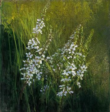 2019_Wallum Tea Tree and Sedge_61x61_web