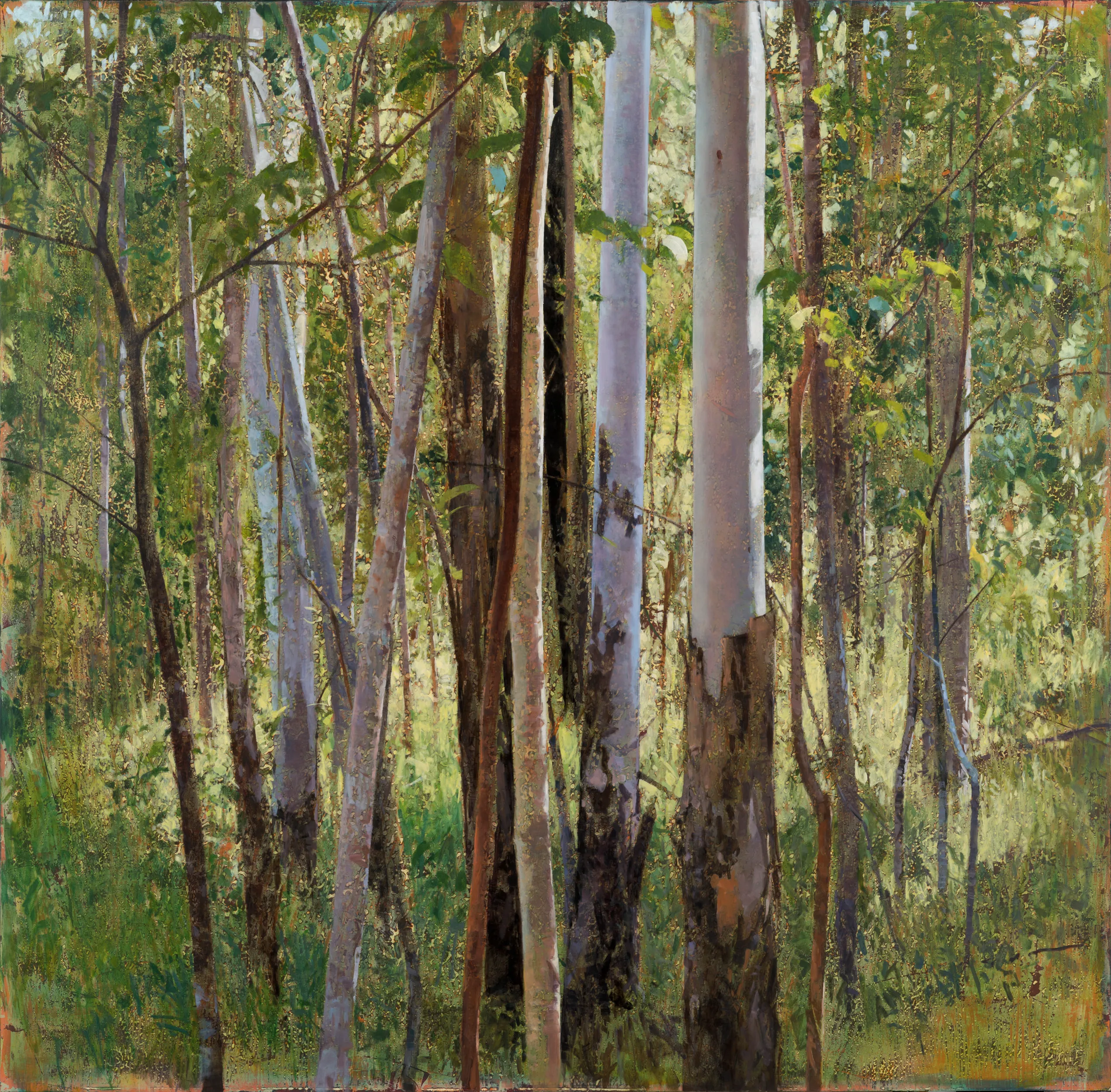 AJ Taylor, Forest Edge, Spring Morning 2020