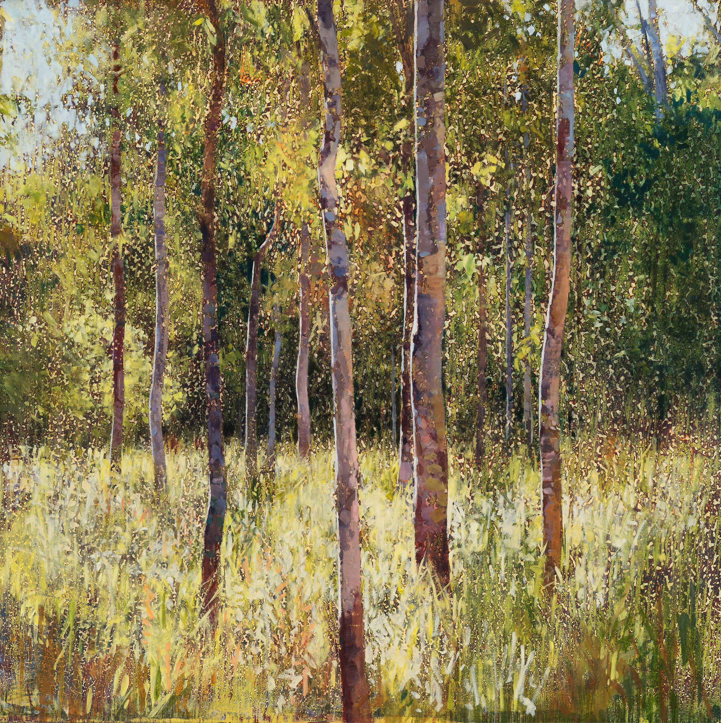 AJ Taylor, Gums at Belli Creek, 2020, oil on board, 72.5 x 72.5 cm