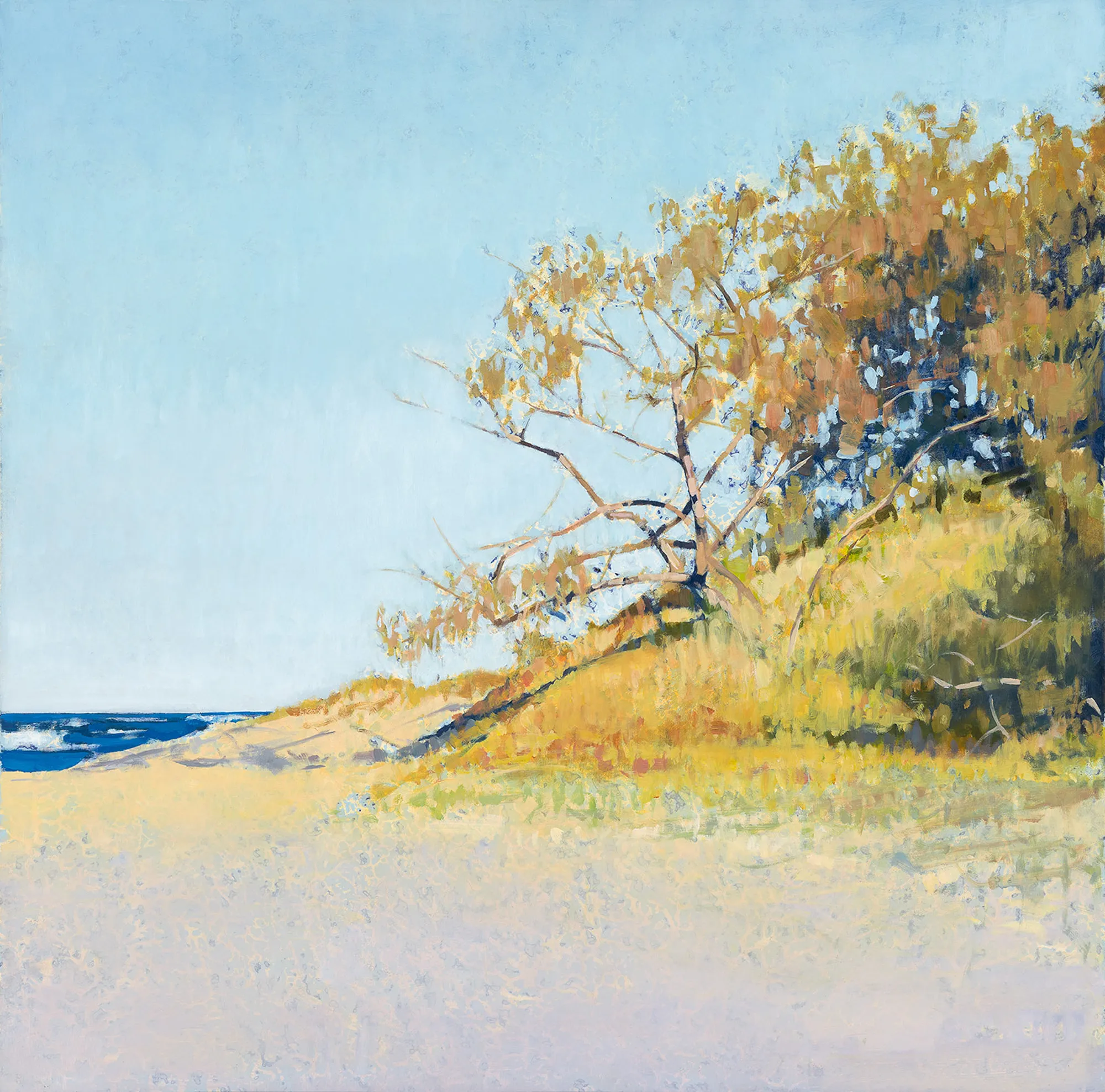 She-oaks, Deadman's Beach 2021 46x46