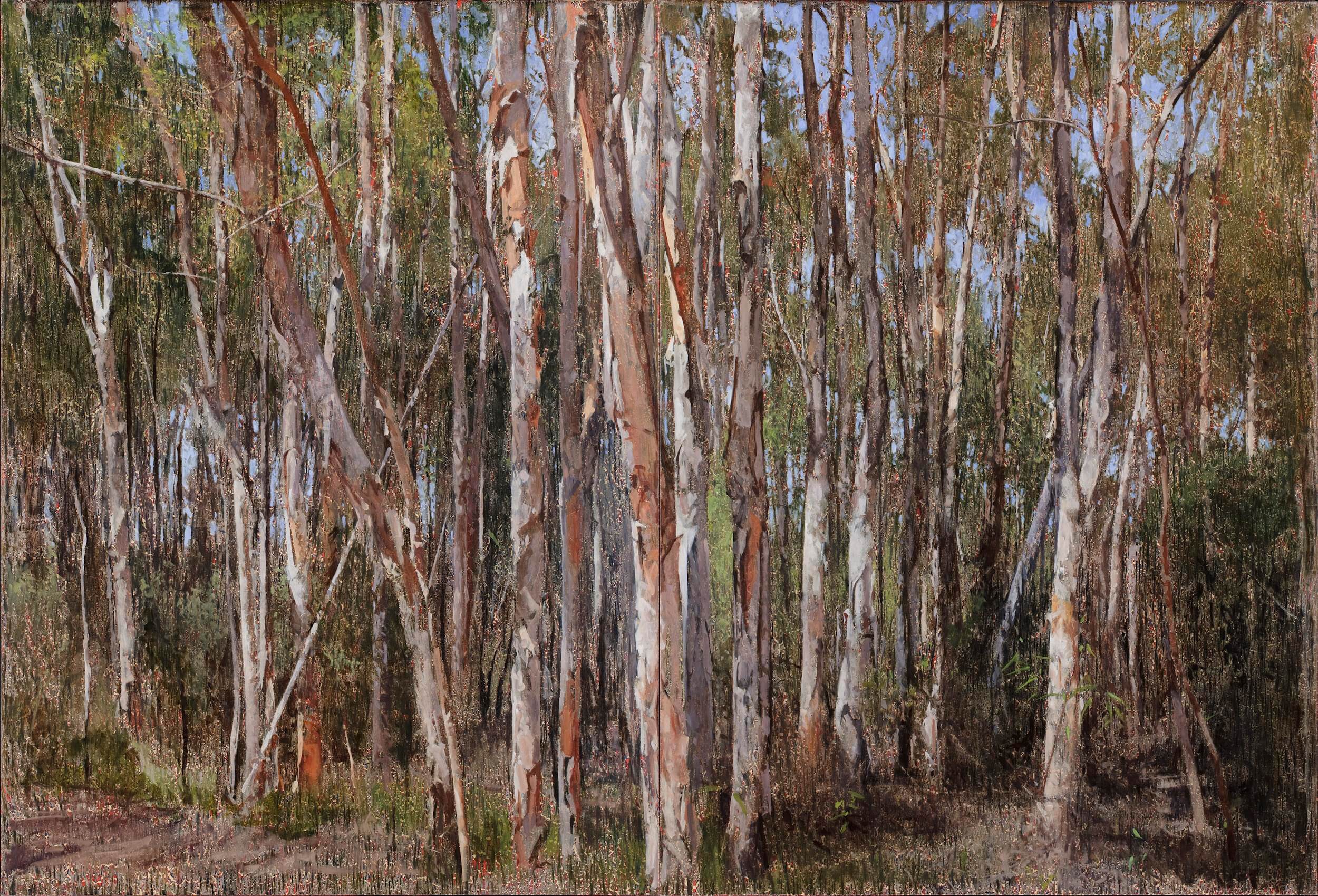 2014_Paperbarks 1_165x243_web