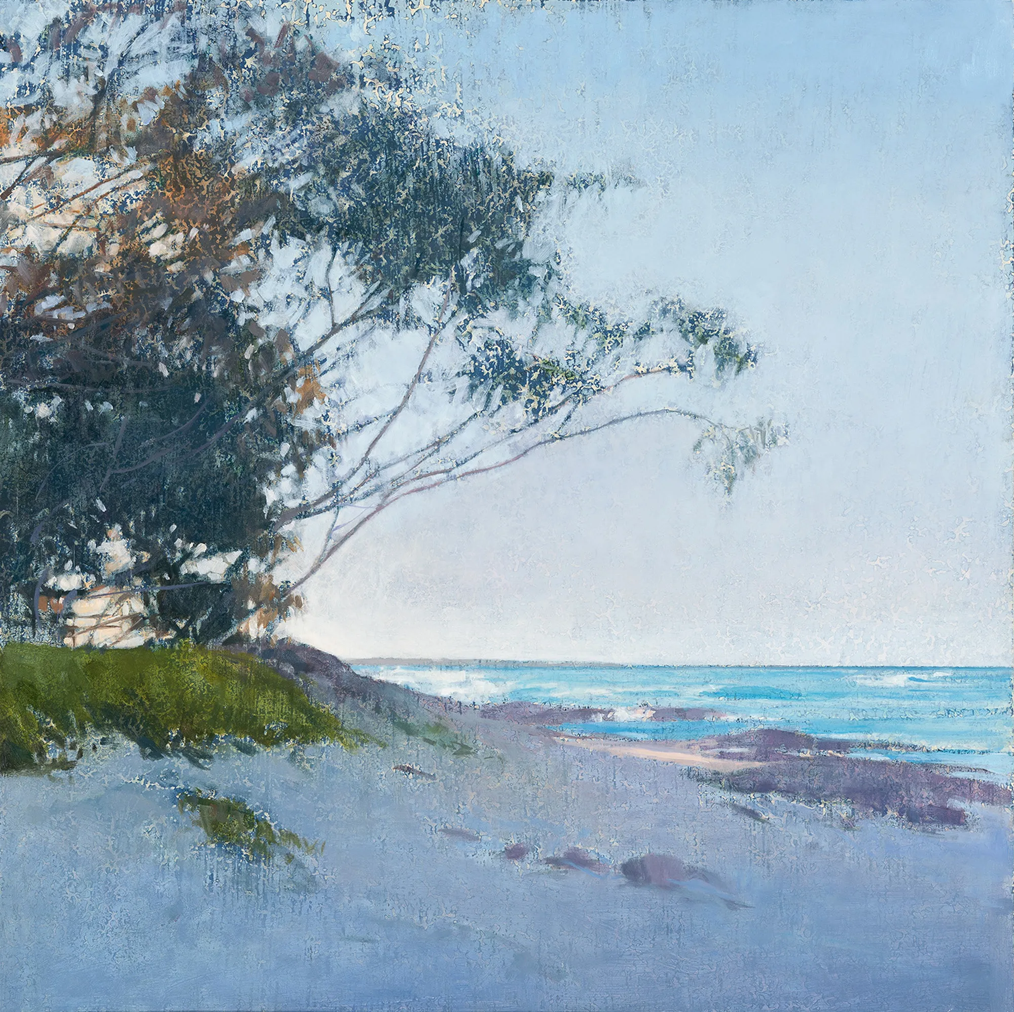 She-oaks, Frenchman's Beach 2021 46x46