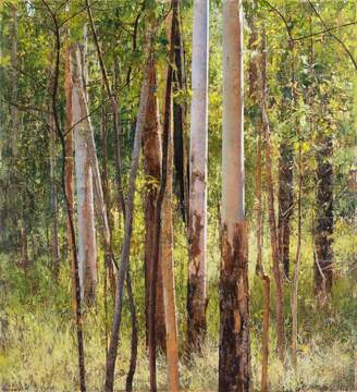 2020_Rose Gum and Black Wattle_168x153_web