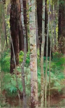 2018_Pink Ash and Bracken_103x61.5_web