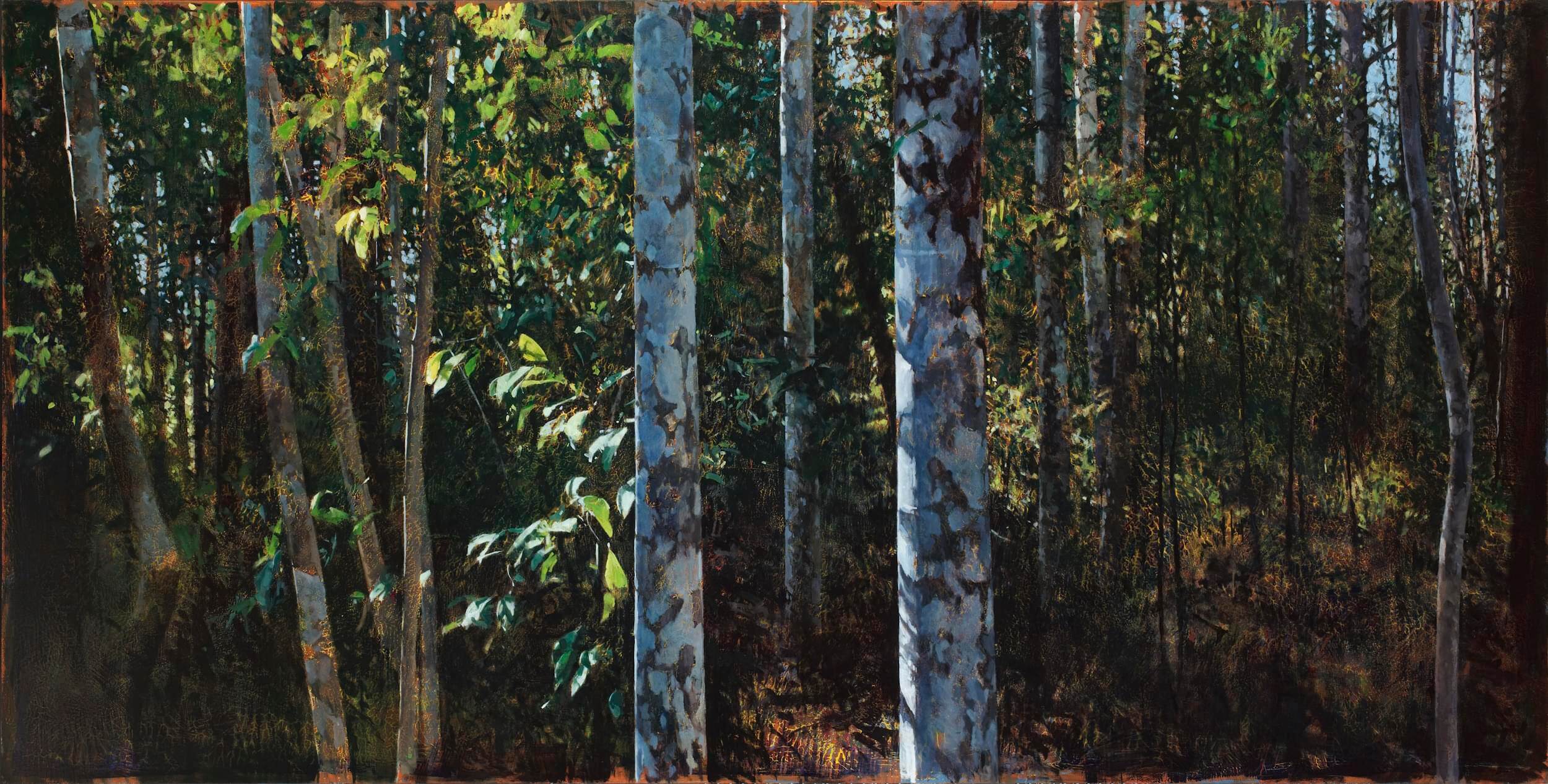 2015_Paynter Creek, Rainforest No.6_122x244_web