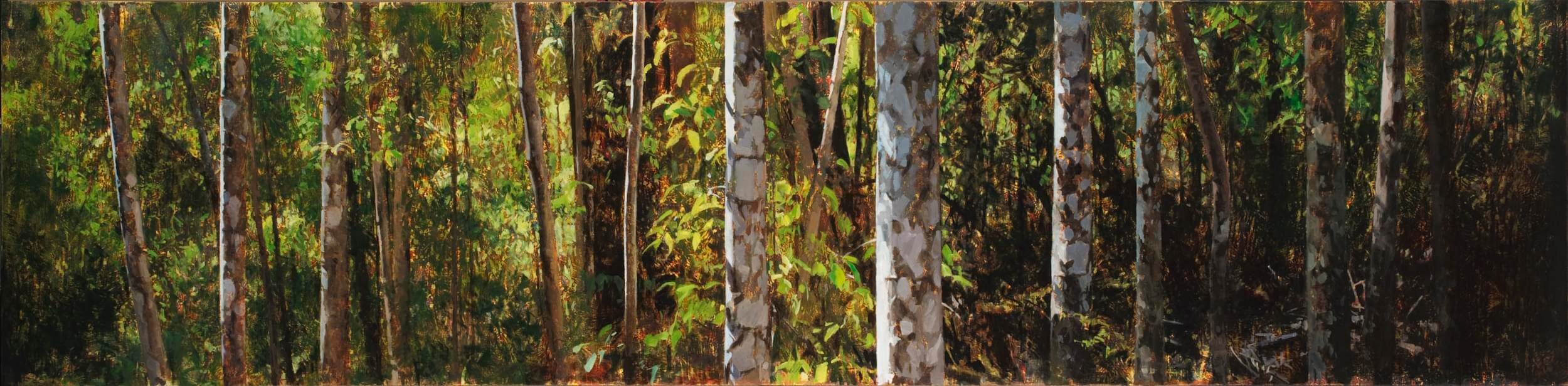 2015_Paynter Creek 2.30pm_60x242_web