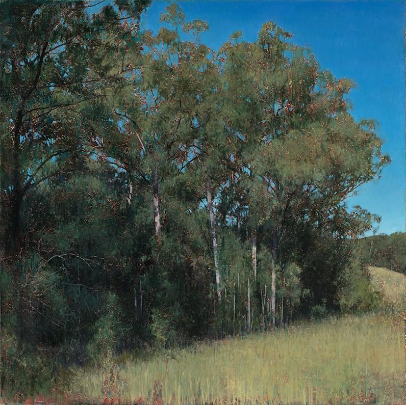 2019_The Bush_121.5x121.5_web